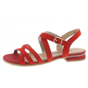 R9052-33 ROOD