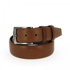 1656 - 35 L BRUIN