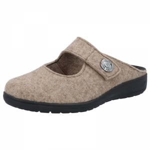 29067-40428 BIRKE