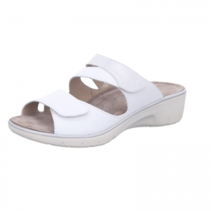 24009-10049 WEISS/SCOGLIO