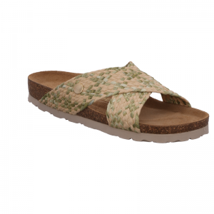 5587-64 KIWI
