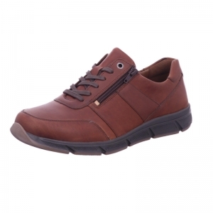 67000-30309 MARRONE