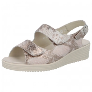 50008-20723 CANTALOUPE