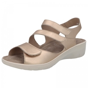 24010-40444 CHAMPAGNE