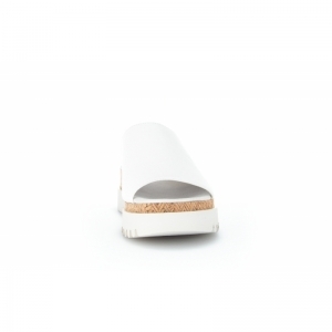 84.663-21 LATTE