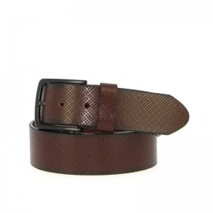 881 - 40MM BRUIN
