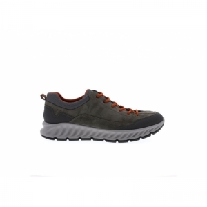 36240-26 SALVIA/GREY