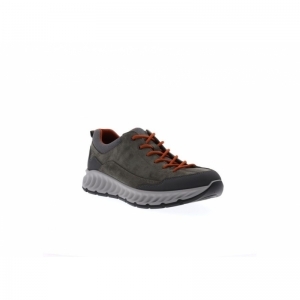 36240-26 SALVIA/GREY