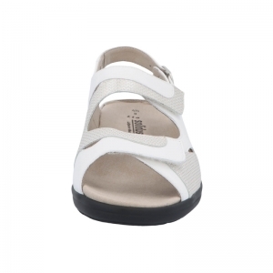 73094-10306 WIT