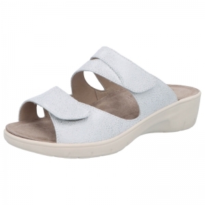 24009-10320 WIT