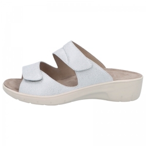 24009-10320 WIT
