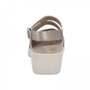 24004-30543 SHABBY