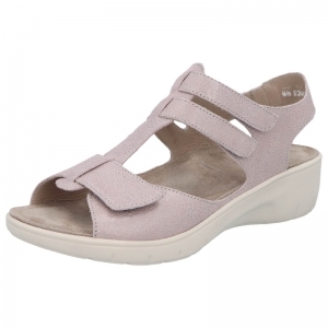 24002-90383 ROZE