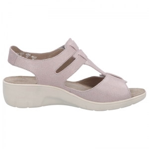 24002-90383 ROZE
