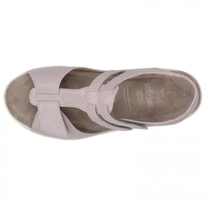 24002-90383 ROZE