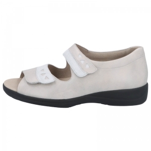 73081-20831 SASSO/WEISS