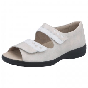 73081-20831 SASSO/WEISS
