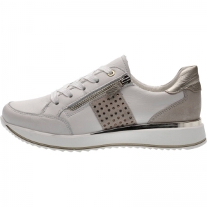 24901-04 CREAM/SHELL/PLA