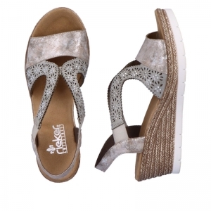 61916-91 ROSE/CEMENT
