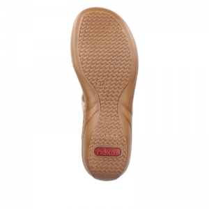 60885-62 GINGER