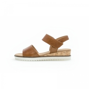 42.750.53 CAMEL