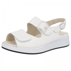 75032-10300 WIT