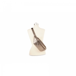 BFL079 ZILVER