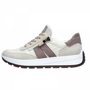 25102-05 SHELL/CREAM