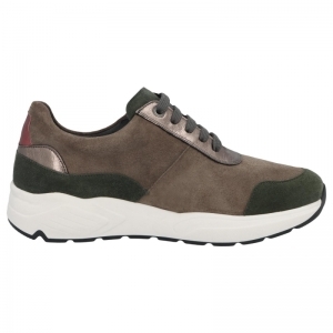 66034-90436 FORREST