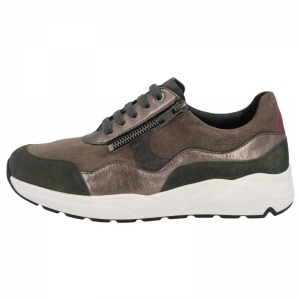 66034-90436 FORREST