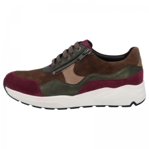 66034-90435 BERRY MULTI