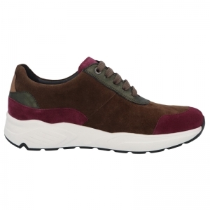 66034-90435 BERRY MULTI