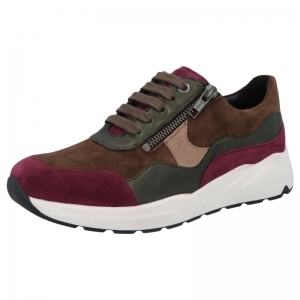 66034-90435 BERRY MULTI