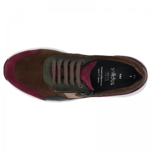 66034-90435 BERRY MULTI