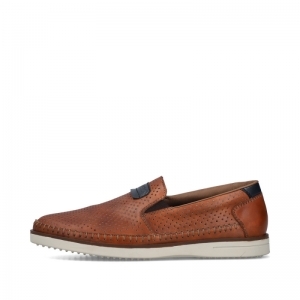 B2356-24 GAUCHO