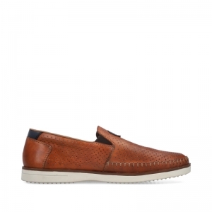 B2356-24 GAUCHO