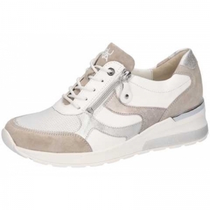 939018-600-083 SAHARA/ARG/WEIS