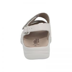74019-20953 LINO/PLATINO
