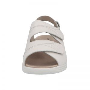 74019-20953 LINO/PLATINO