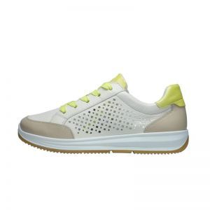 25526-05 SHELL/CREAM