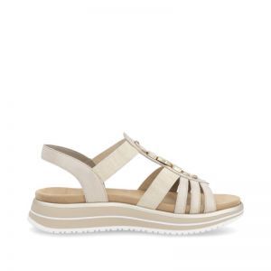 D1J60-91 MUSCHEL/GOLD