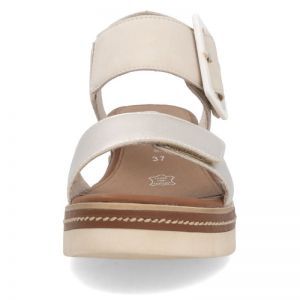 D2L53-60 GOLD/MUSCHEL