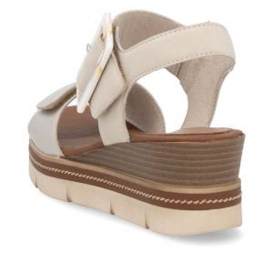 D2L53-60 GOLD/MUSCHEL