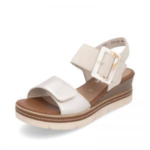 D2L53-60 GOLD/MUSCHEL