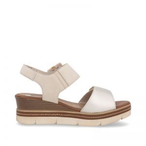 D2L53-60 GOLD/MUSCHEL