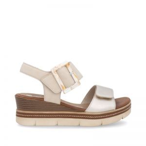 D2L53-60 GOLD/MUSCHEL