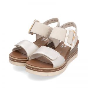 D2L53-60 GOLD/MUSCHEL