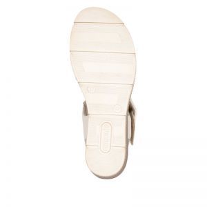 D2L53-60 GOLD/MUSCHEL