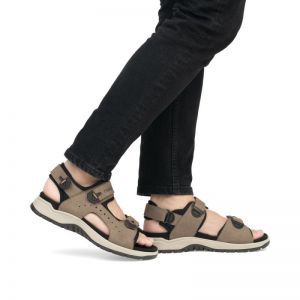 26951-25 TERRA