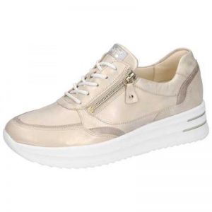 755004-317-102 LIGHTGOLD